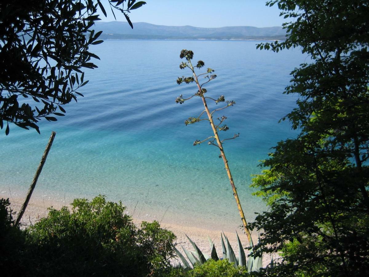 Villa Lipa Dora Murvica  Dış mekan fotoğraf